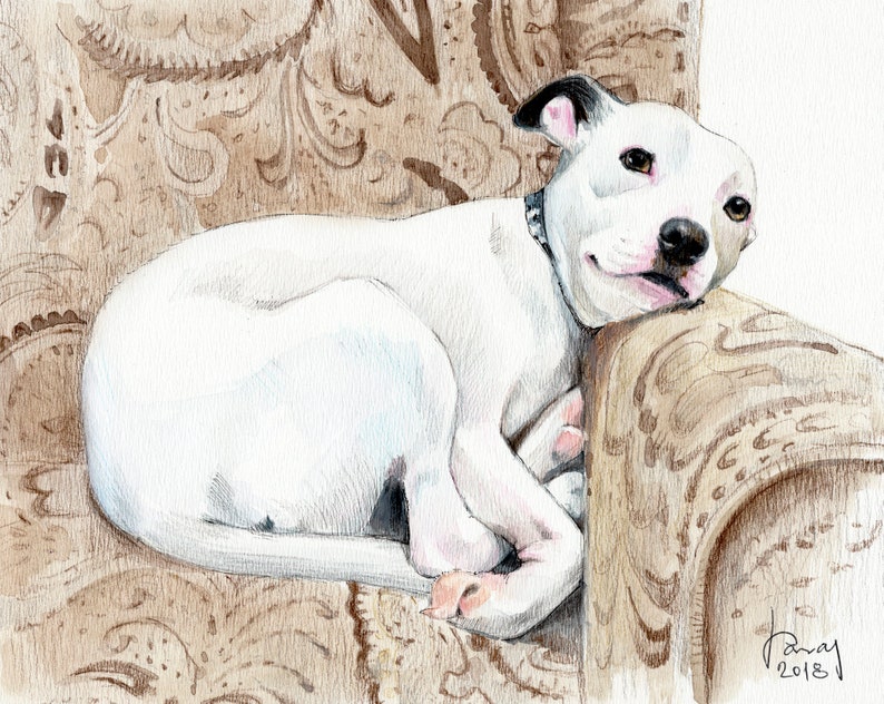 Custom Portrait Illustration Drawing Cat Art Commission Personalized Gift Pet Watercolor Painting Pet Portrait Pet Memorial Dog