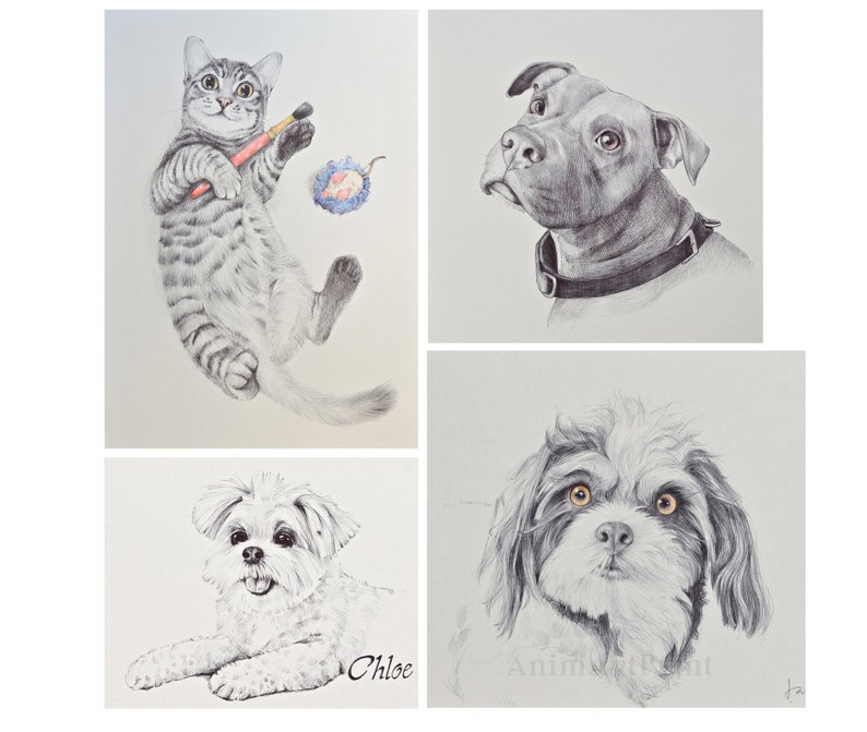 Pet Portrait, Custom Pet Portrait Drawing from Photo, Pet Drawing Commission Art, ORIGINAL Art, Personalized Pet Loss Gifts, Pet Memorial image 9