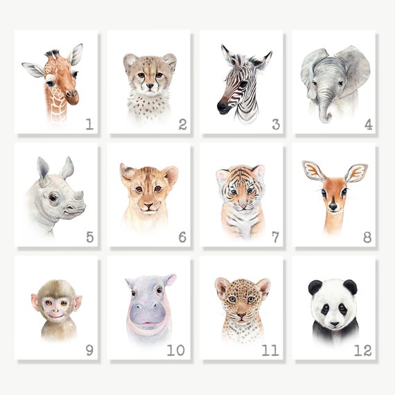 Animal Prints for Nursery, Set of 2, 3, 4, 6 Wall Art, Safari Animals, Kids  and Baby Wall Décor 