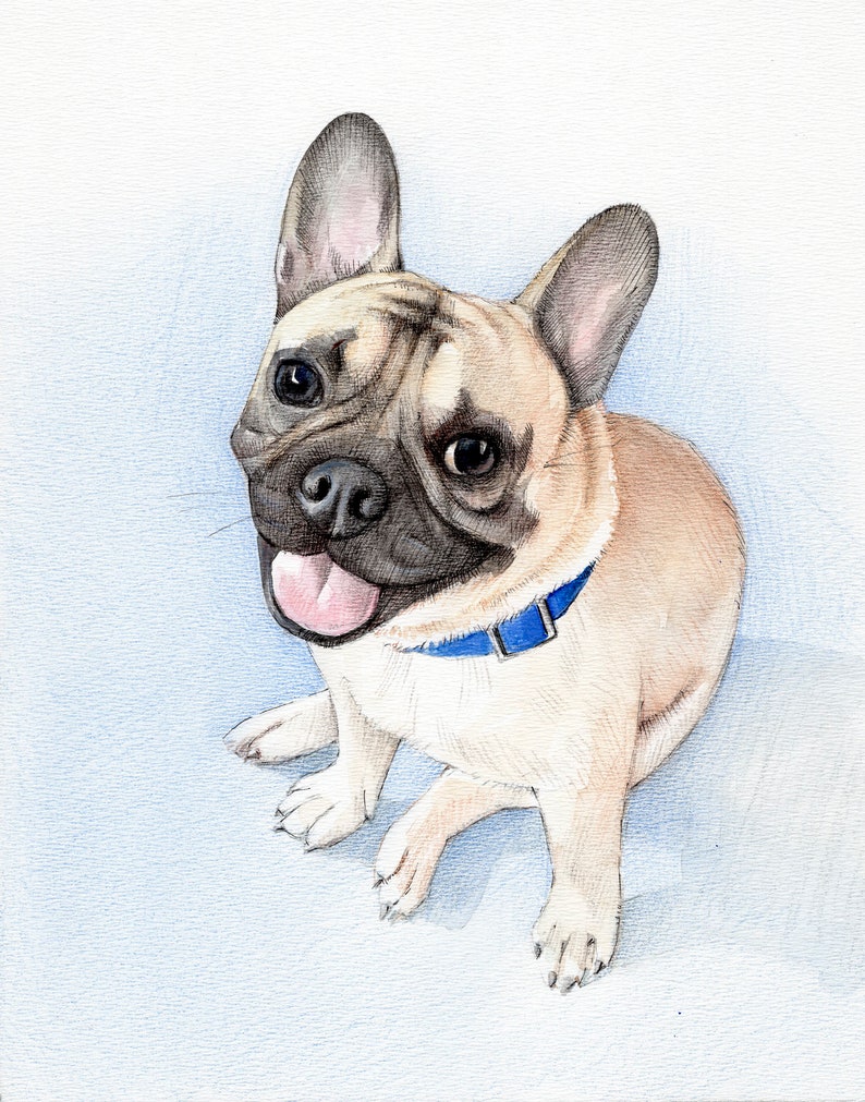 Custom Portrait Illustration Drawing Cat Art Commission Personalized Gift Pet Watercolor Painting Pet Portrait Pet Memorial Dog