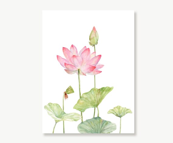 Lotus nursery on sale prints