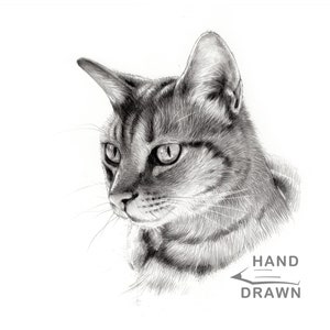 Cat Portrait from Photo, Custom Drawing, Hand Drawn Pet Portrait, Pencil, ORIGINAL Art, Personalized Gift for Cat Mom, Gift for Cat Dad