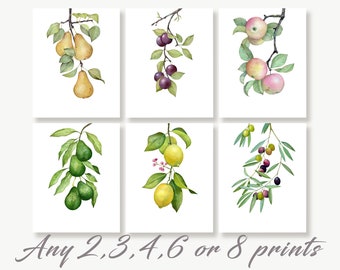 Fruit Art Prints, Wall Art Prints for Kitchen, Botanical Illustration, Fruit Tree Branches, Kitchen Décor, Dine Painting, Vegan Gift, Poster