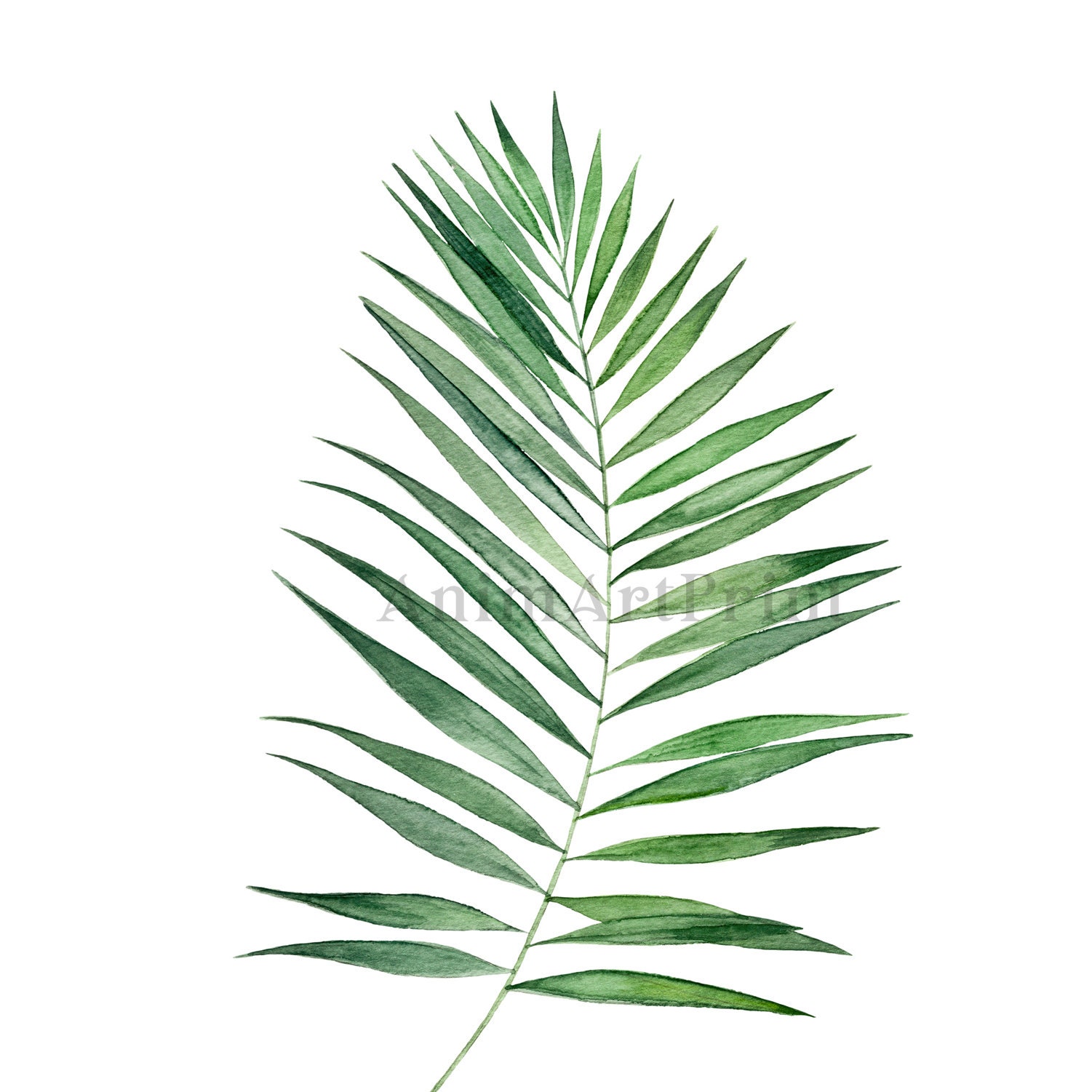 Jungle Nursery Decor Black & White Nursery Animal Prints Etsy Australia