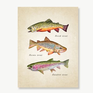 Trout Art, Fish Print, Brook Trout, Brown Trout, Rainbow Trout Painting, Spinning, Fly Fishing Poster, Angler Art, Man Cave Sign, Cabin Art