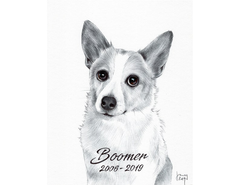 Pet Portrait, Custom Pet Portrait Drawing from Photo, Pet Drawing Commission Art, ORIGINAL Art, Personalized Pet Loss Gifts, Pet Memorial image 4
