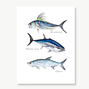 Ocean Fish Art Print, Roosterfish, Bluefin Tuna, Tarpon, Deep Fishing Wall Art, Watercolor, Tuna Print, Fishing Gift for Men, Ocean Décor