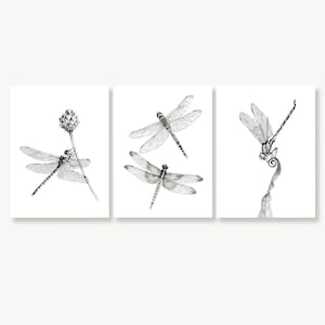 Dragonfly Art Prints, Bathroom Wall Décor, Minimalist Wall Art, Insects Art Drawing Sketch, Black & White, Print Set of 3 Dragonfly Pictures