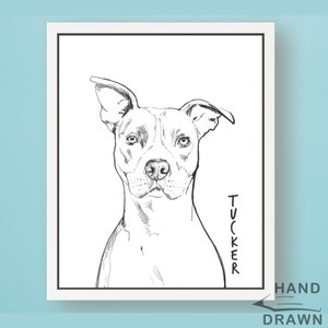 Pet Portrait, Custom Line Drawing, Pet Illustration, Cat Portrait, Dog Portrait Line Art, Sketch from Photo, DIGITAL FILE, Personalized Gift
