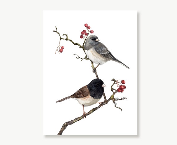 Junco Bird Print Pajaritos y Rama Pintura de Obras de - Etsy España