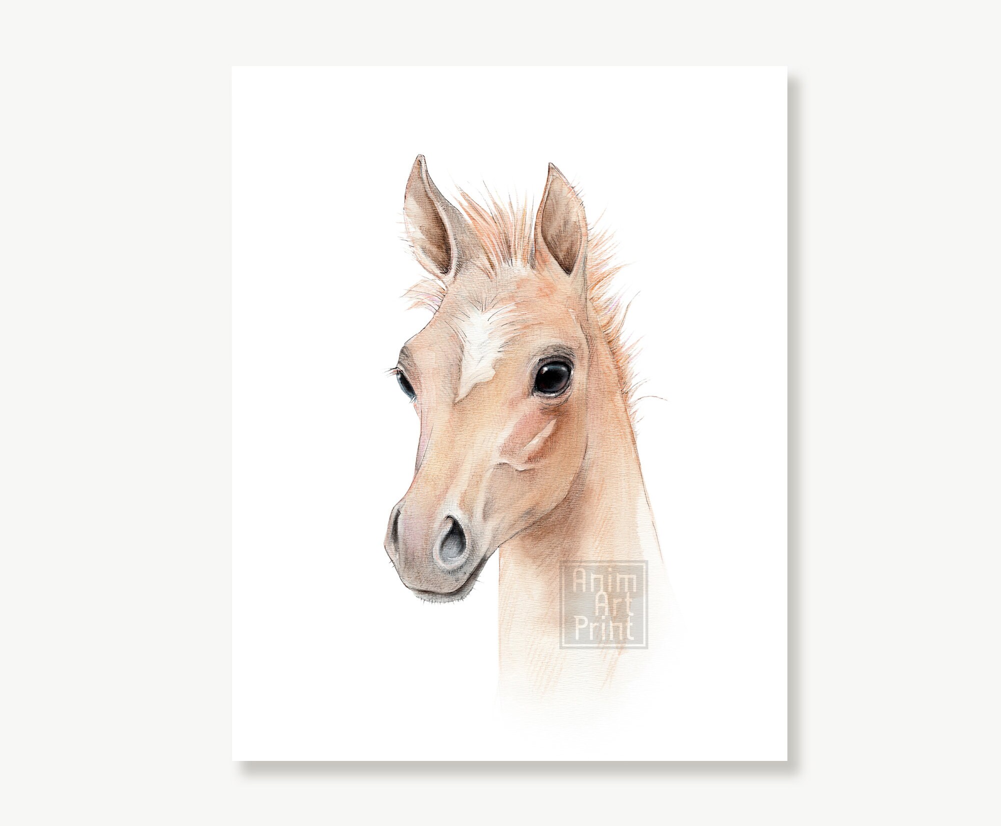 Horse Nursery Print Baby Horse Painting Horse Watercolor | Etsy