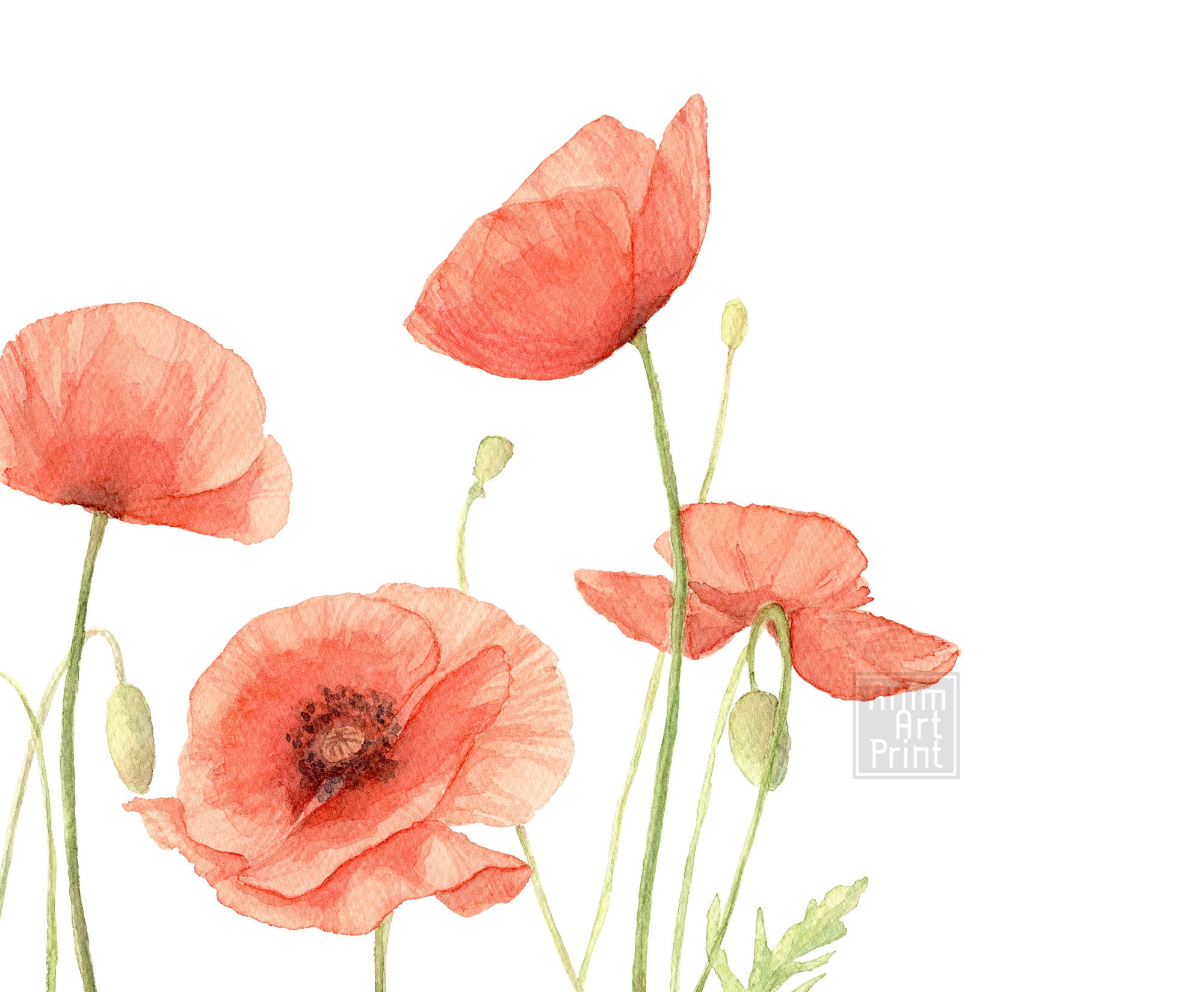 Red Poppies Painting Wildflower Print Wall Art for Living - Etsy