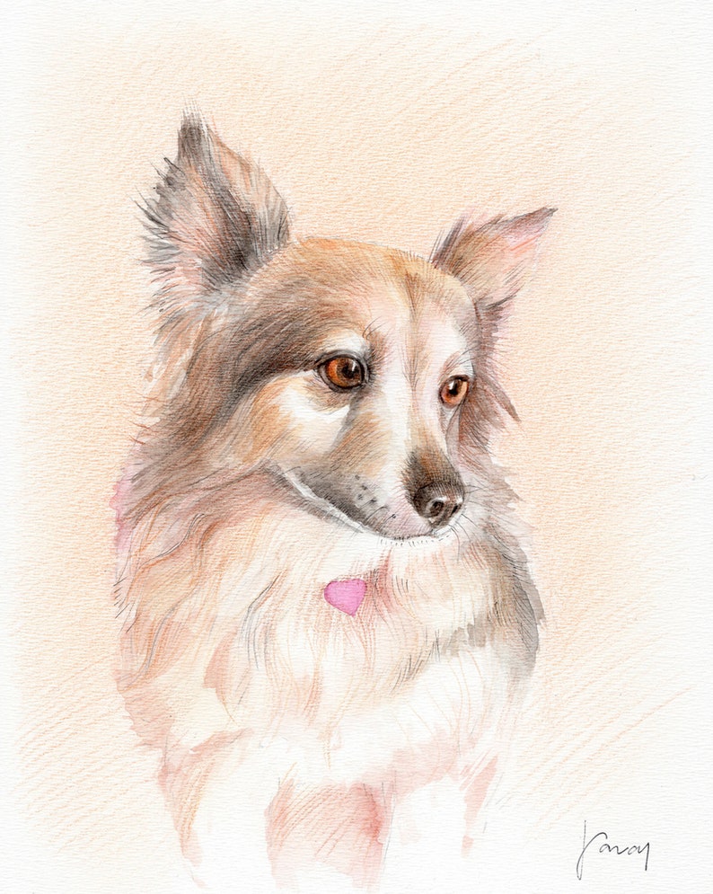 Custom Portrait Illustration Drawing Cat Art Commission Personalized Gift Pet Watercolor Painting Pet Portrait Pet Memorial Dog