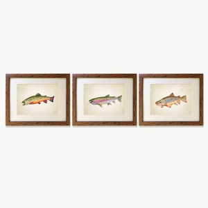 Trout Art Print Set, Watercolor Paintings, Vintage, Retro Style, Brook Trout, Rainbow Trout, Brown Trout, Fish Art, Fly Fishing, Spinning