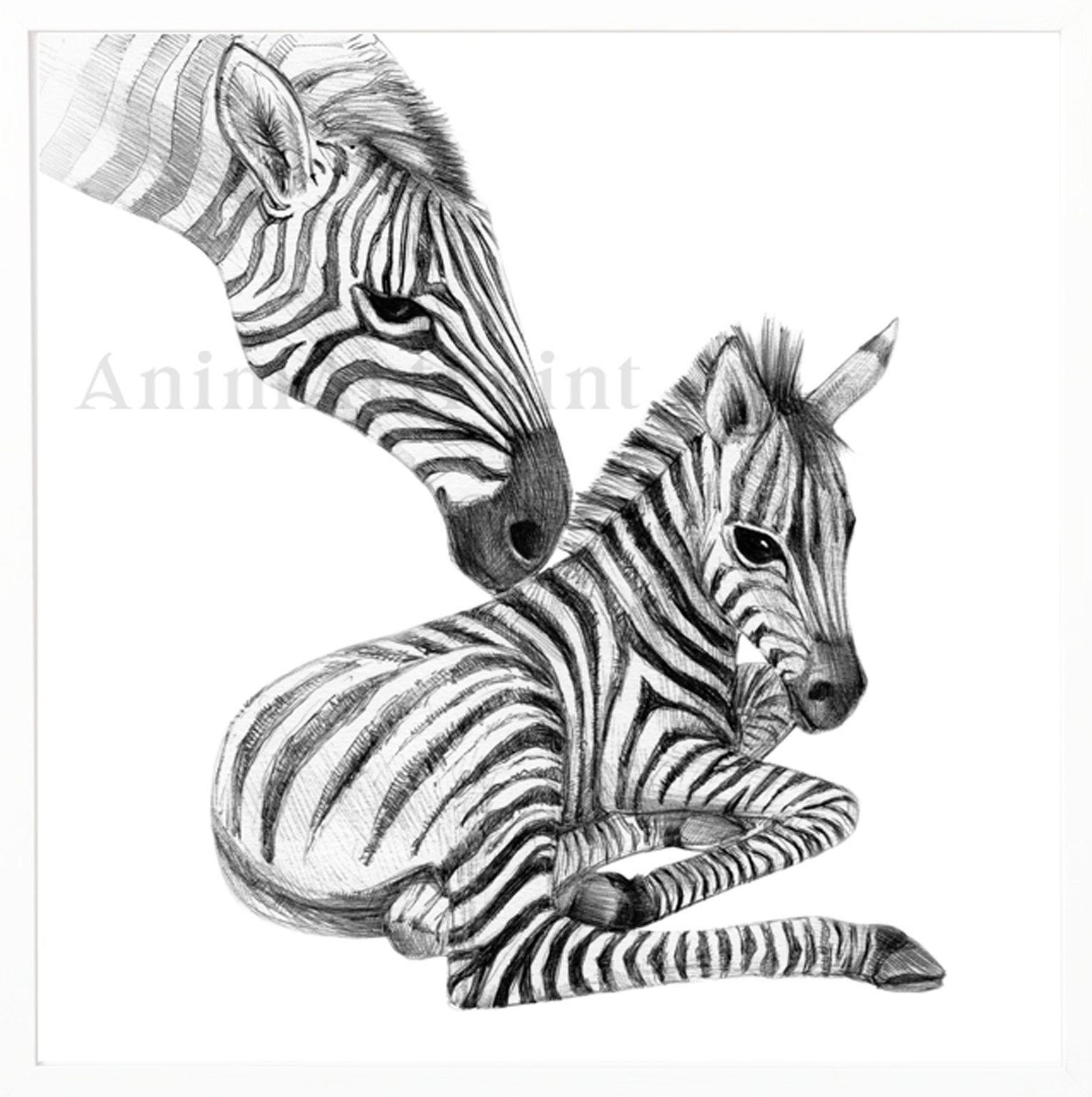 Jungle Nursery Decor Black & White Nursery Animal Prints Etsy
