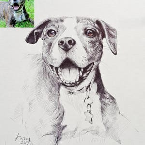 Pet Portrait, Custom Pet Portrait Drawing from Photo, Pet Drawing Commission Art, ORIGINAL Art, Personalized Pet Loss Gifts, Pet Memorial image 7
