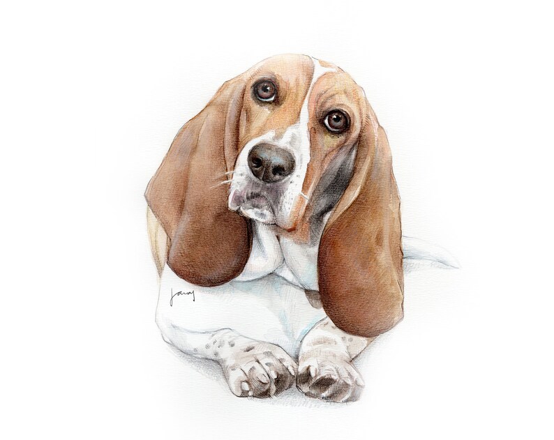 Custom Portrait Illustration Drawing Cat Art Commission Personalized Gift Pet Watercolor Painting Pet Portrait Pet Memorial Dog