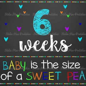 Printable Weekly Pregnancy signs, chalkboard sign, photo prop, boy, girl - Instant Download