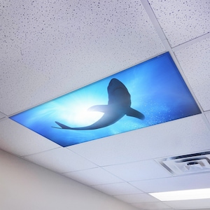 May include: A blue and white ceiling light fixture with a silhouette of a shark swimming in the ocean.