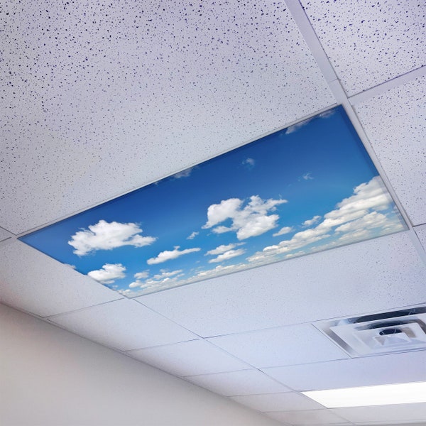 Octo Lights Classroom Fluorescent Light Covers Magnetic Cloud 012