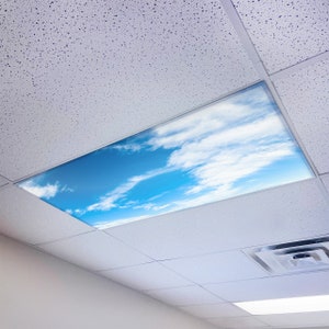 May include: A white ceiling with a rectangular skylight panel featuring a blue sky with white clouds. The skylight panel is surrounded by white ceiling tiles.