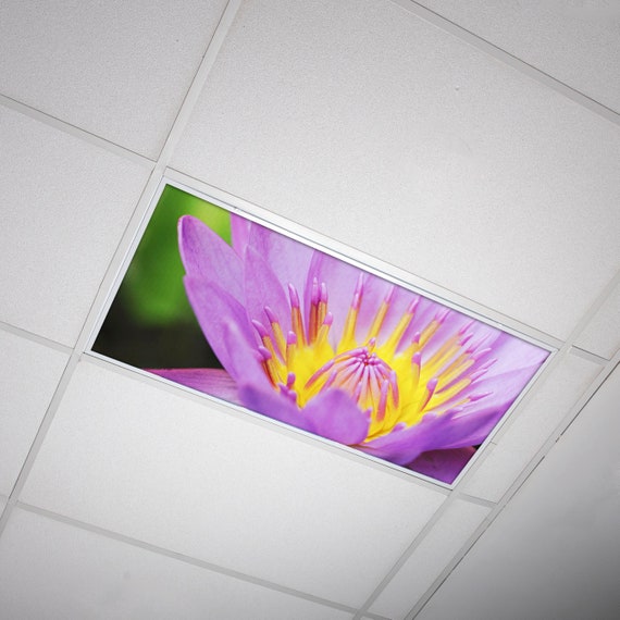 Fluorescent light filters best sale