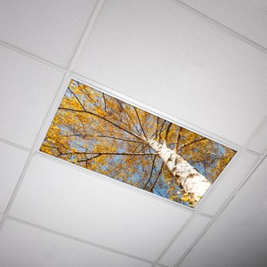 Cubiertas de luz fluorescente - Filtros de luz fluorescente - Para aula, hogar, oficina - Árbol 003