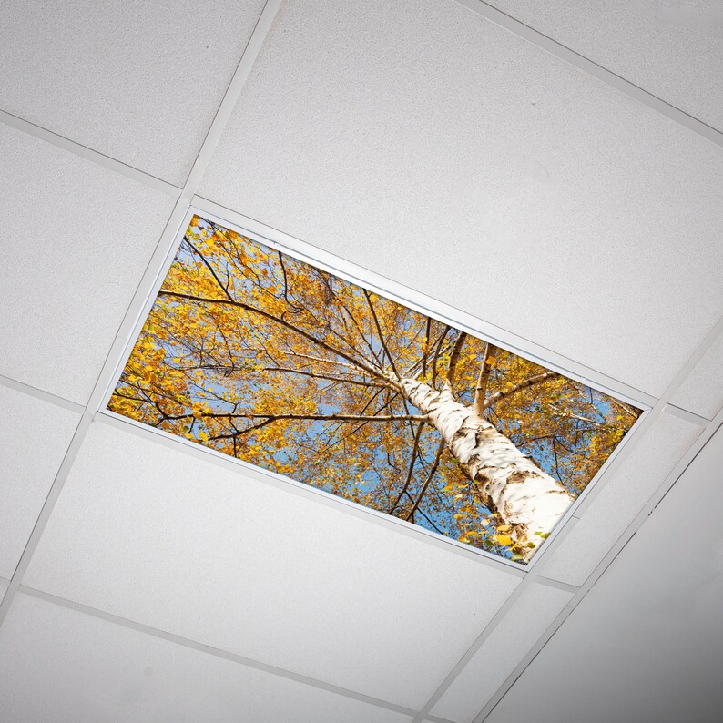 Lorougei Fluorescent Light Cover Decorative Ceiling Light Filters,Tree Leaves Sky Clouds Pattern,for Classroom Office Hospitals Home Ceiling