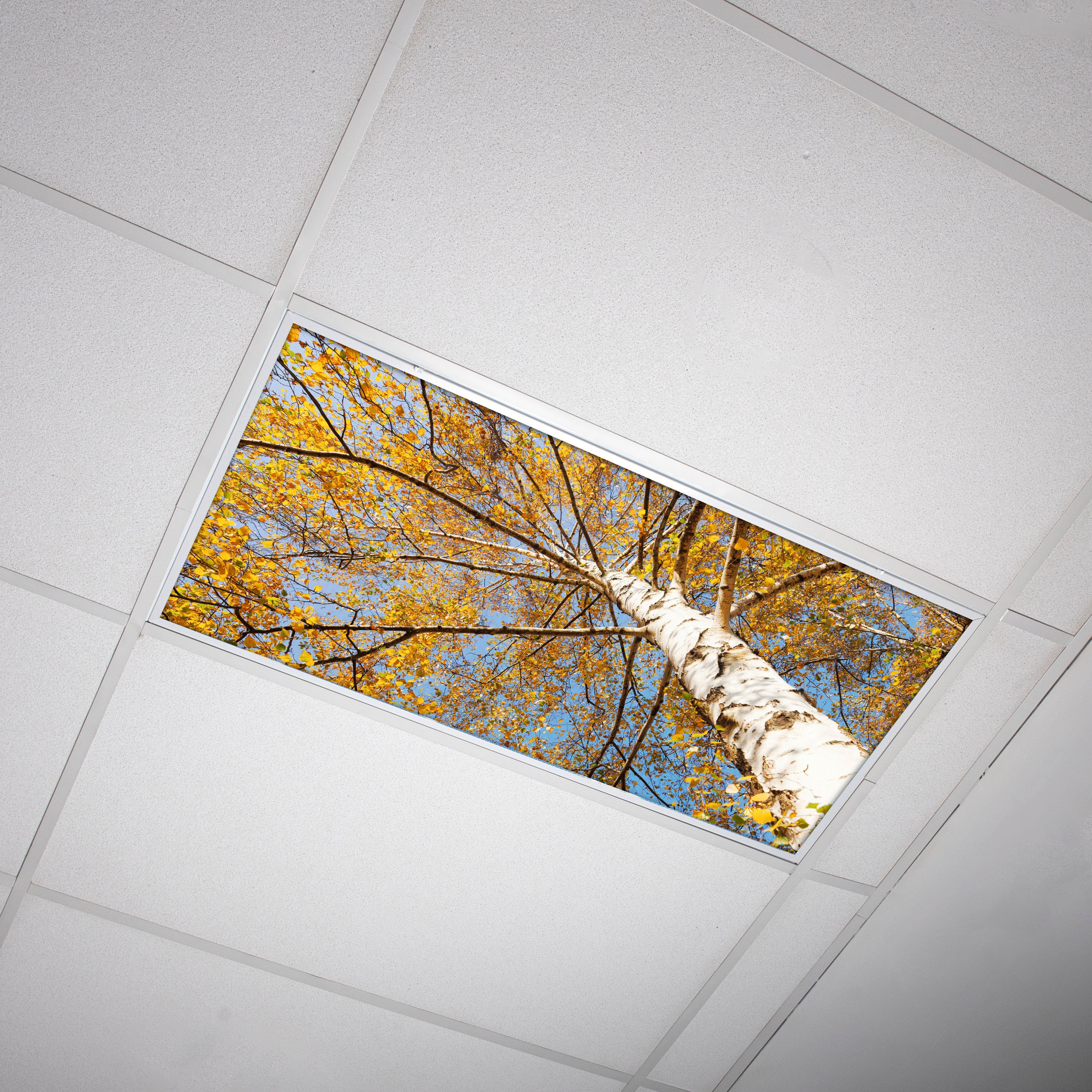 Maximize Your Office Lighting with Magnetic Fluorescent Light Covers