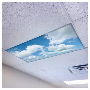 May include: A white ceiling with a rectangular skylight panel featuring a blue sky with white clouds. The skylight is installed in a commercial office setting.