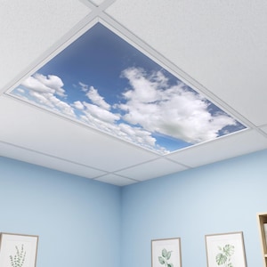 Faux Skylight - Sky View Clouds 019 - Backlit Film Light Cover for Windowless Rooms - Fits 2x4 2x2 1x4 Fluorescent Fixtures