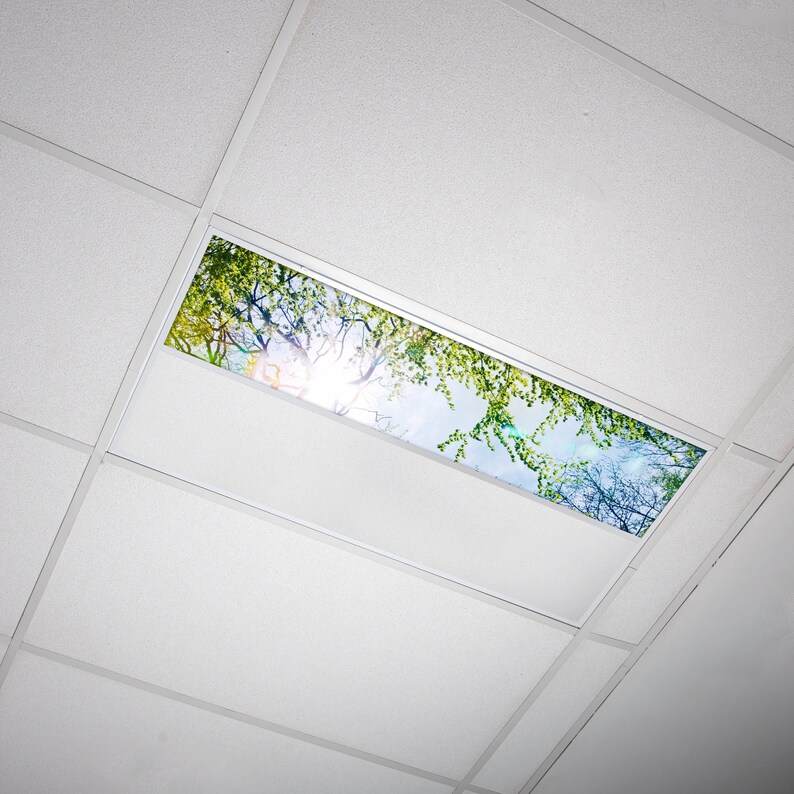 Fluorescent Light Covers Fluorescent Light Filters for Etsy