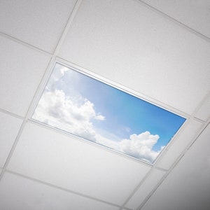 May include: A white ceiling with a rectangular skylight featuring a blue sky with white clouds.