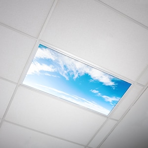 May include: A white ceiling with a rectangular skylight featuring a blue sky with white clouds.