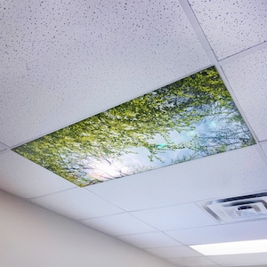 May include: A white ceiling with a square cutout featuring a printed image of a green tree canopy and a blue sky with white clouds.