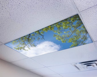 keme様４点おまとめ／Floreal ×２／Sapho／Octogonal il_340x270.5767870675_p8ip.jpg