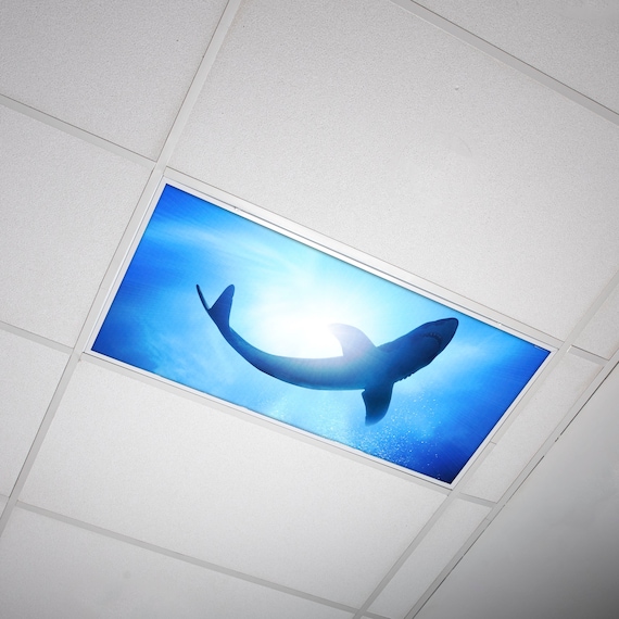 Fluorescent ceiling light covers deals
