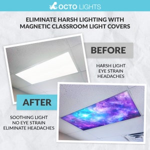 OCTO LIGHTS Astronomy 002 2 Ft. X 4 Ft. Fluorescent Light Filters Ast 002 2x4