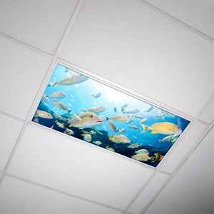 Clear fluorescent light covers best sale