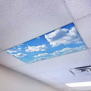 May include: A white ceiling with a square light fixture that has a printed image of a blue sky with white clouds.