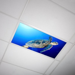 Under the Sea Decor - Sea Turtle 008 - Backlit Film Light Cover for Classrooms and Kids Rooms - Fits 2x4 2x2 1x4 Fluorescent Fixtures