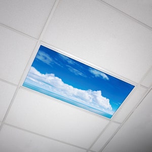 May include: A white ceiling with a rectangular light fixture that has a blue sky and white clouds printed on it.