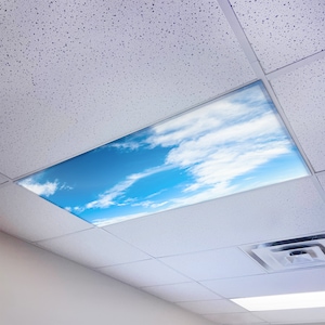 May include: A white ceiling with a square panel featuring a printed image of a blue sky with white clouds. The panel is illuminated by a light fixture.