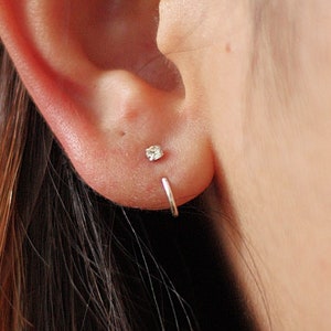 Klauen Diamant Ohrstecker