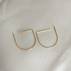 D wire earrings