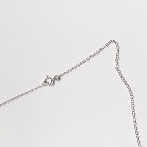 May include: A silver chain necklace with a lobster clasp closure.