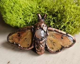 Tiger Moth Hair Clip - Copper Electroformed Moth Barrette/Brooch - Bohemian Fairycore Oddity Hair Accessory