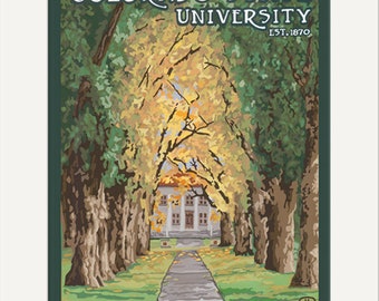 CSU - Colorado State University: Artwork by Julie Leidel