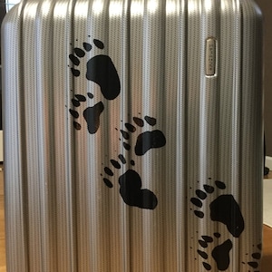 May include: A silver suitcase with black bear paw prints on the side. The suitcase has a textured surface and the brand name "Samsonite" is printed on the side.