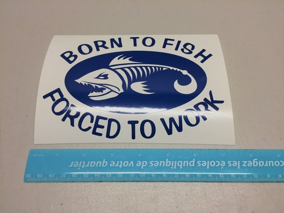 Born To Fish Decal